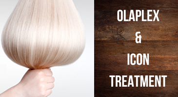 Olaplex & Icon Treatment